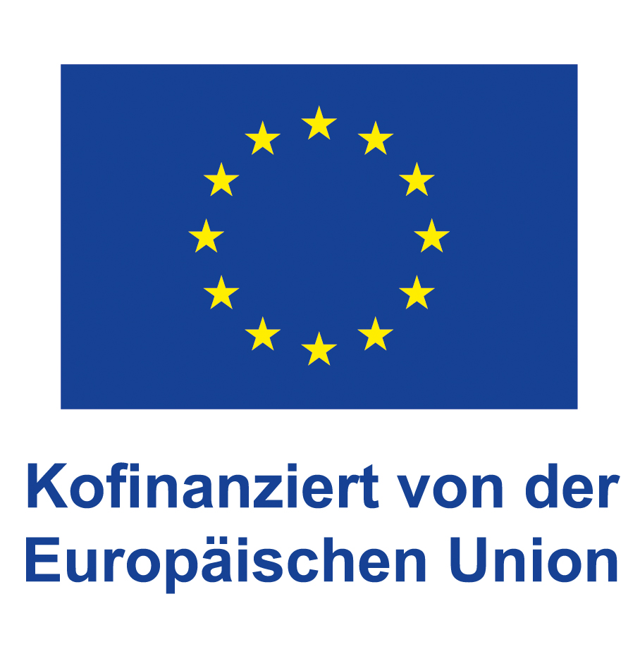 Print DE V Kofinanziert von der EuropN ischen Union POS